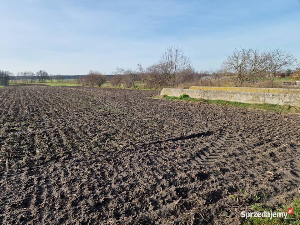 Działki rolne klasy IVV Biskupice gm Grodziec Biskupie