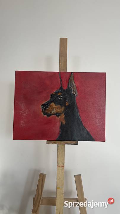 Obraz olejny Doberman 30x40 ręcznie malowany lubuskie Świebodzin