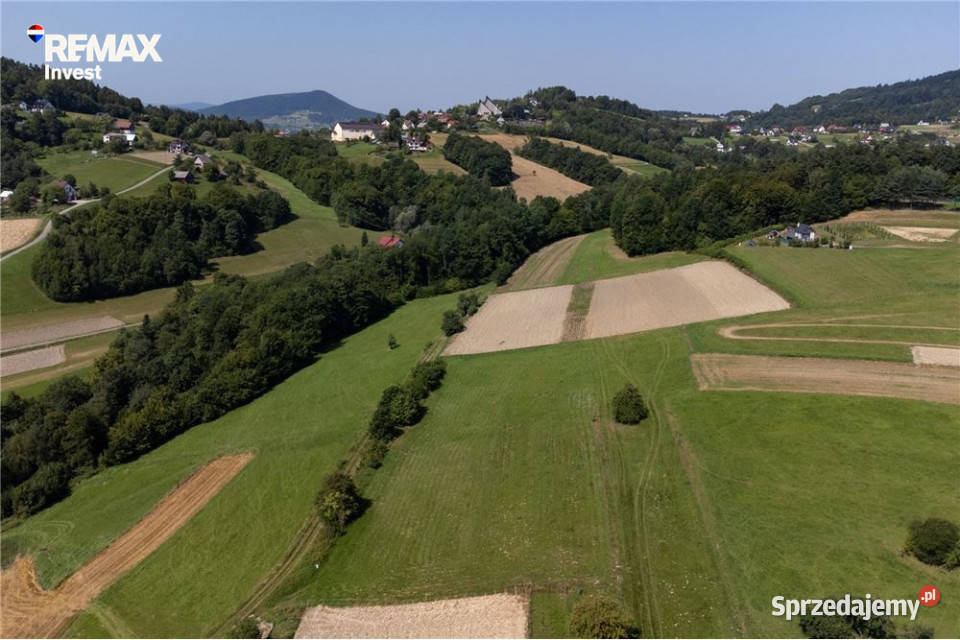 Grunty 5 400 m widok las i działka z WZ Młynne sprzedam