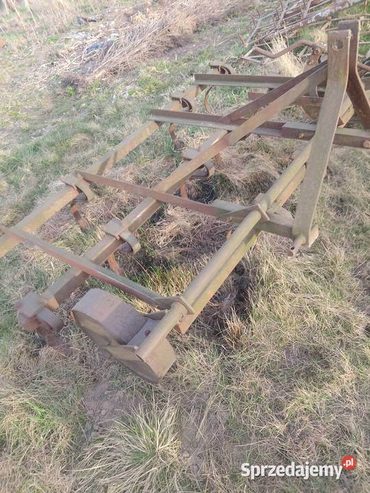 Brony 3 polowe Brony Piątek