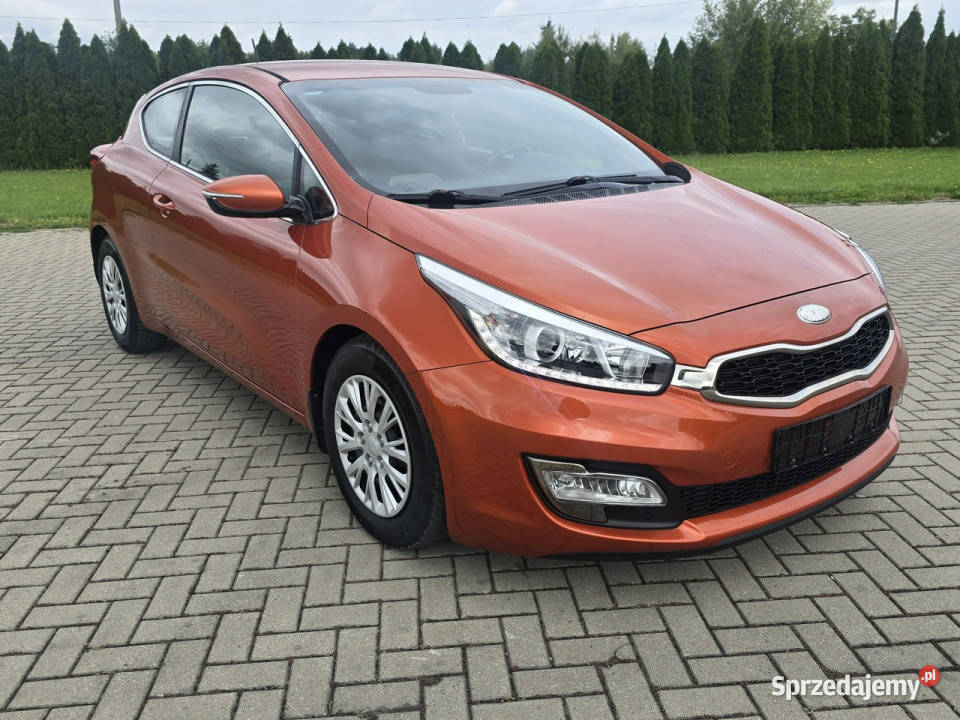 Kia Pro Ceed 16Benz ProCeedNaviLedyKamera wielofunkcyjna kierownica Kutno sprzedam