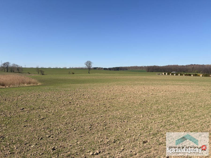 Do sprzedaży działka Gryfice 1050m2 Sprzedaż