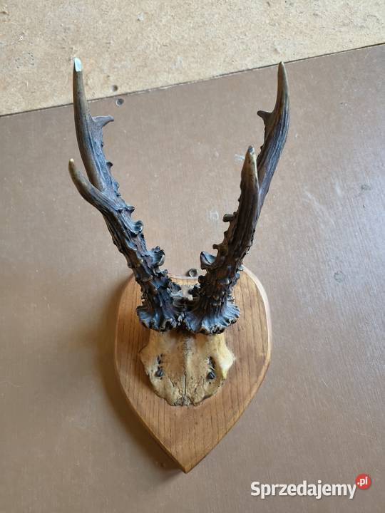 Epoka PRLu inny kolor małopolskie Myślenice