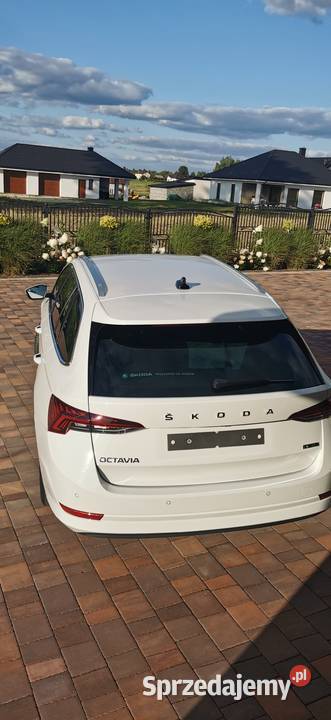 Skoda Octavia IV 15 TSI automat DSG Rok produkcji 2021 świętokrzyskie