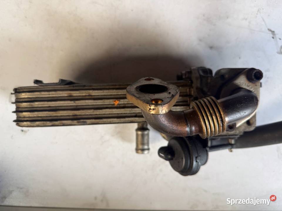 Chłodnica spalin BOSCH 038131513J VW PASSAT SEAT osobowe