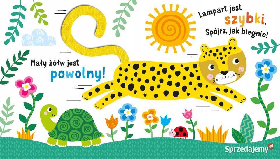 Sensoksiążka SAFARI Korolkiewicz Elżbieta 10 Lublin sprzedam