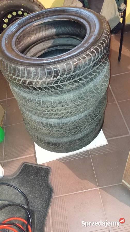 Opony zimowe Dębica Frigo 2 1756514 Nowy Targ