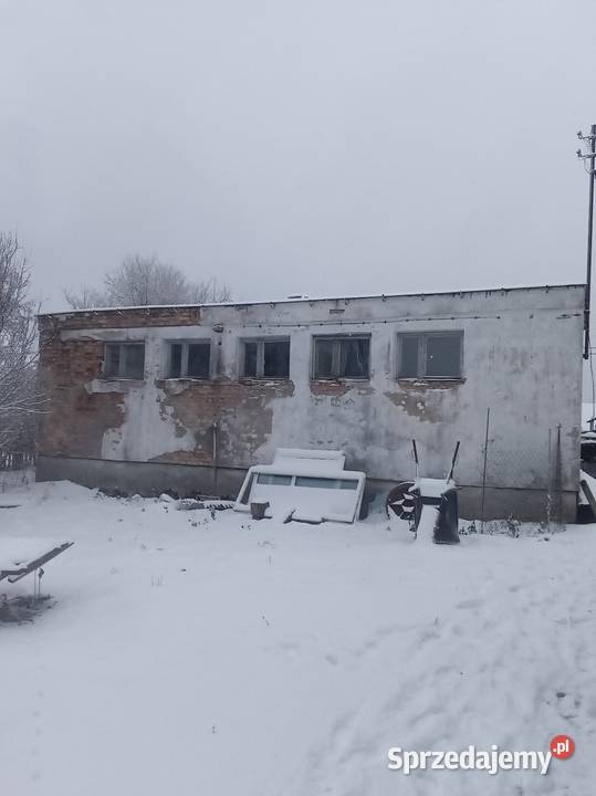 Wynajmę czeremcha kamień budynki Wynajem Czeremcha-Wieś sprzedam
