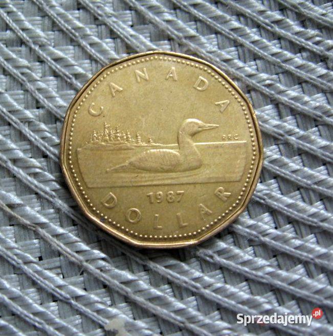 Kanada 1 Dolar 1987r wielkopolskie Kalisz