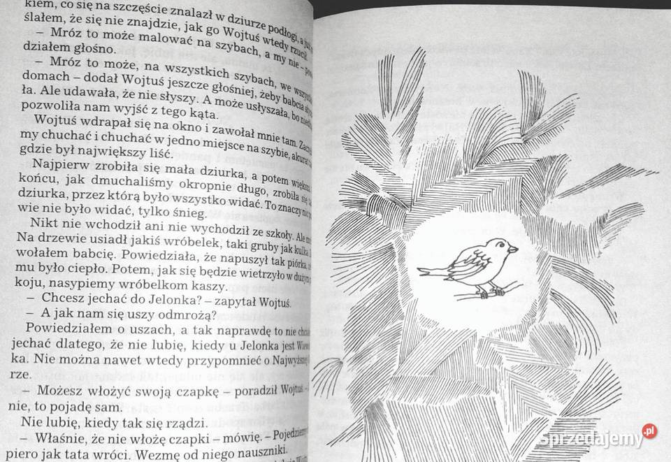 Najwyższa góra Mieczysława Buczkówna Chełm