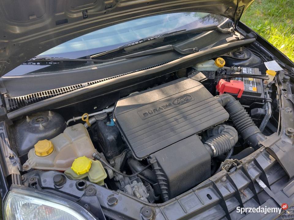 Sprzedaż Ford Fiesta sprowadzony Zgierz