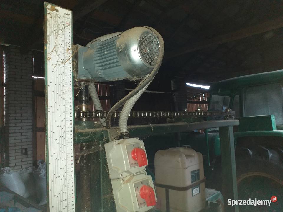 Gater taśmowy Gielniów