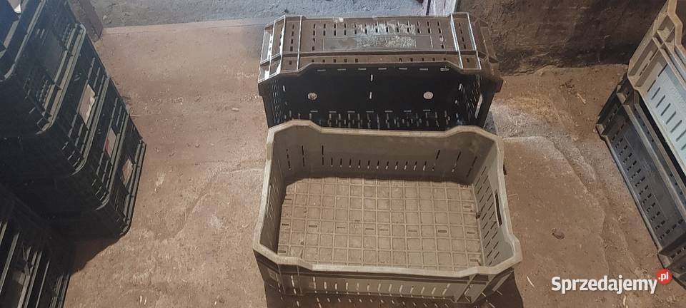 Skrzynki plastikowe 15 wielkopolskie Czempiń