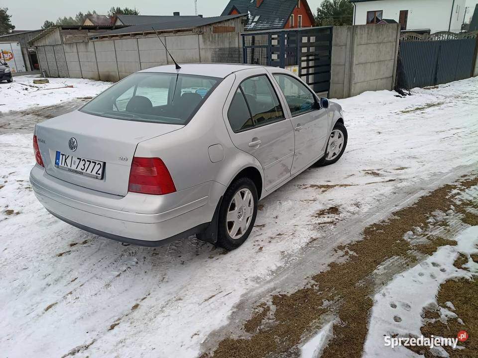 Sprzedam bore sprzedam