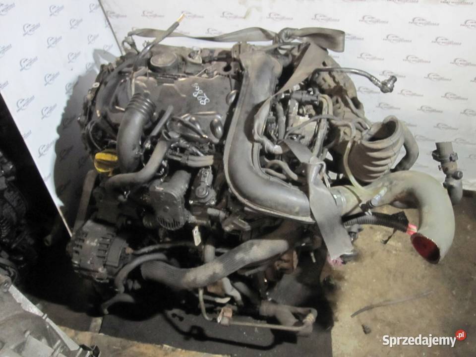 TRAFIC VIVARO PRIMASTAR 20 DCI M9R780 EURO4 09r Rok produkcji 2009 Części samochodowe Kielce