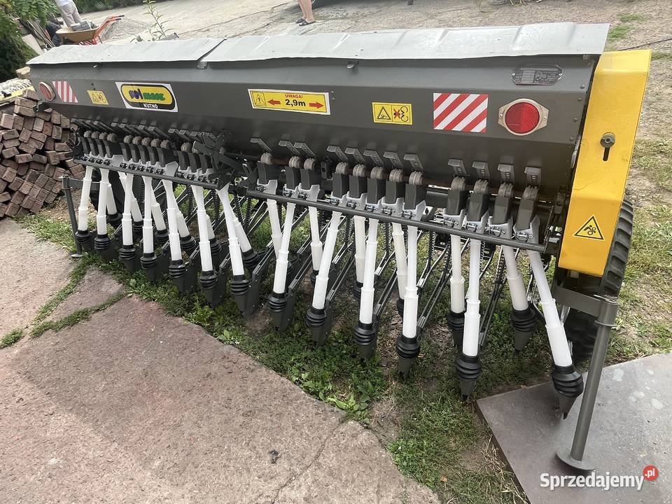 Siewnik poznaniak podkarpackie