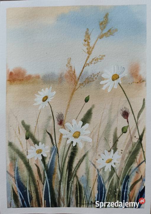 Akwarela Akwarelka Obraz pt Łąka 4 wielkopolskie Poznań