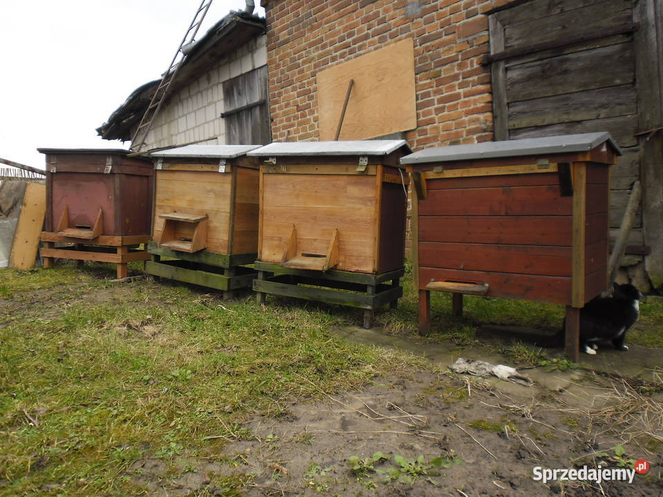Sprzedam ule warszawskie poszerzane