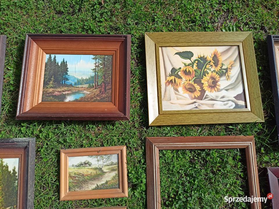 Obrazy obrazki Sokołów Małopolski