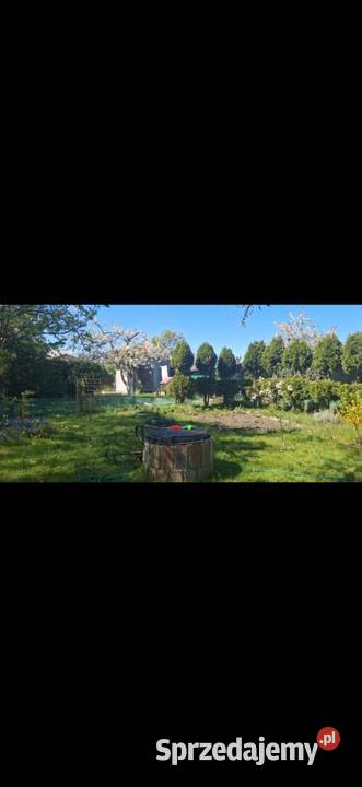 Działka rekreacyjna ROD Oleśnica