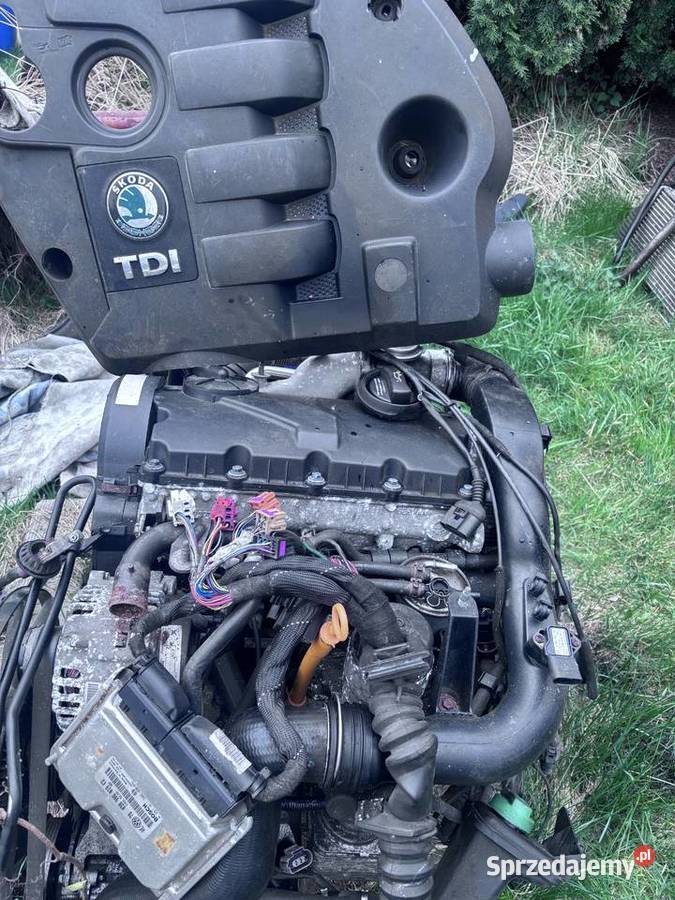 silnik skoda 19 tdi Młoszowa