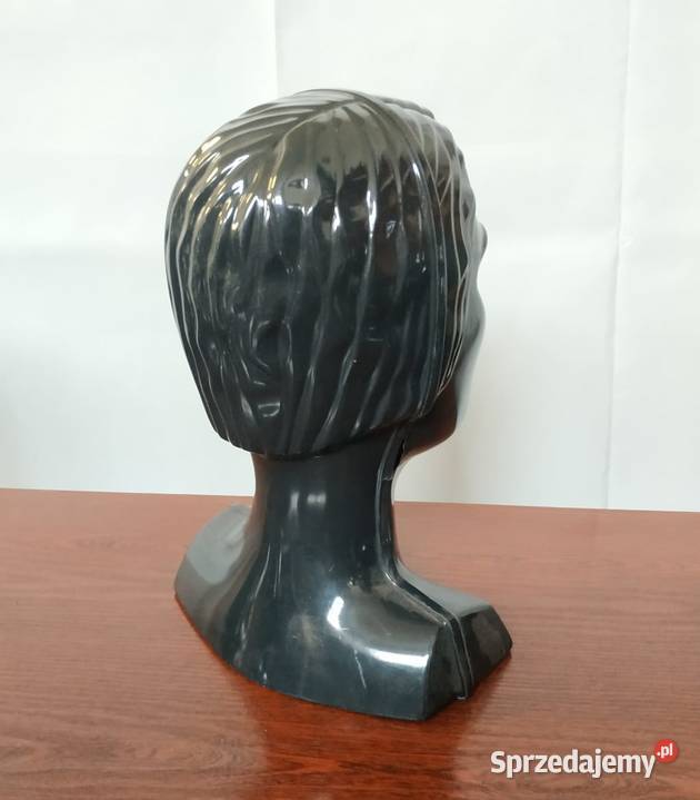 Ekspozytor głowa czarna stojąca lekkawydmuszka Pozostałe zachodniopomorskie