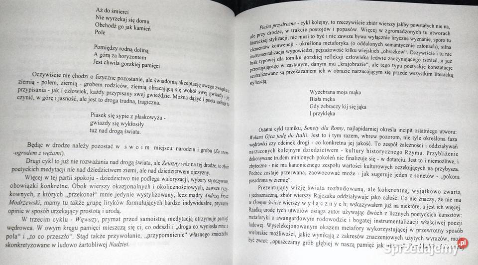 Feliks Rajczak in memoriam Wiersze eseje i Chełm