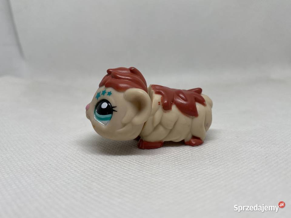 LPS Littlest pet shop świnka morska 2261