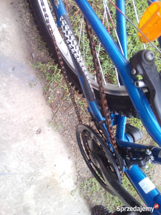 Rower Caledonia Hornet 24 Uwieliny sprzedam