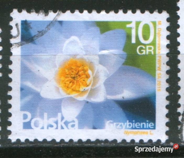 Zn Fi 4638 kas 2015 sprzedam