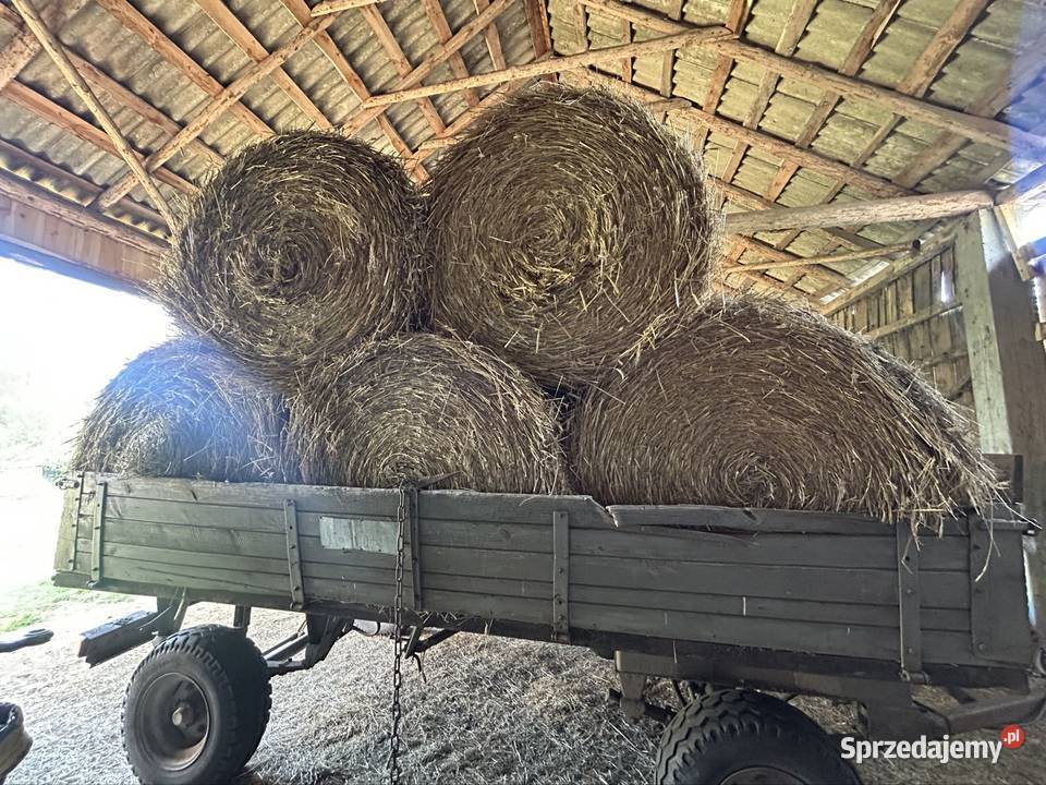 Słoma bele belki Małaszewicze Małe