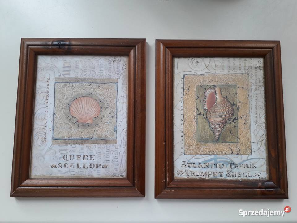 Obraz Shelly Hely Koło