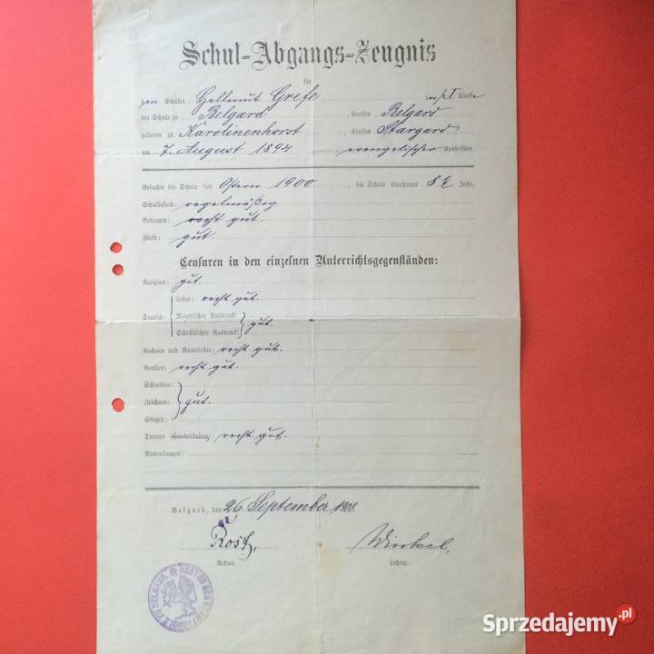 1813 Niemieckie Świadectwo Ukończenia Szkoły Szczecin