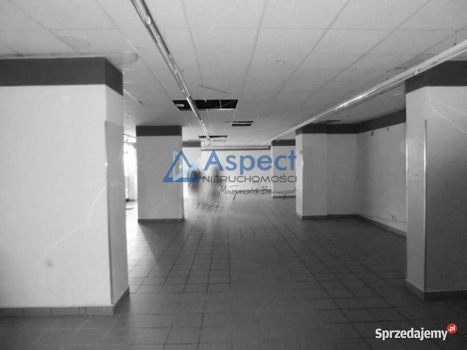 Duży lokal 264m2 w Centrum