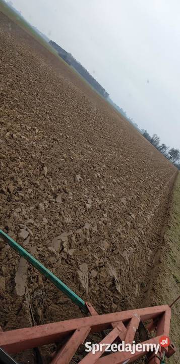 Pług 4 kujawsko-pomorskie Sinki