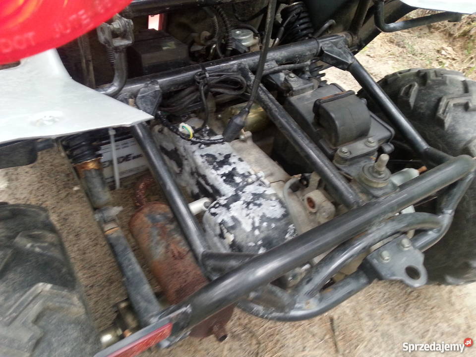 Buggy Zumico kupiony w Polsce Stalowa Wola