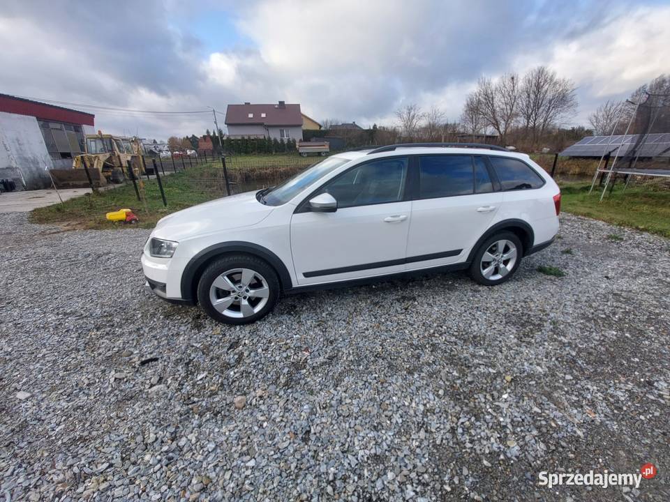 Skoda Octavia Scout Octavia kujawsko-pomorskie Lipno