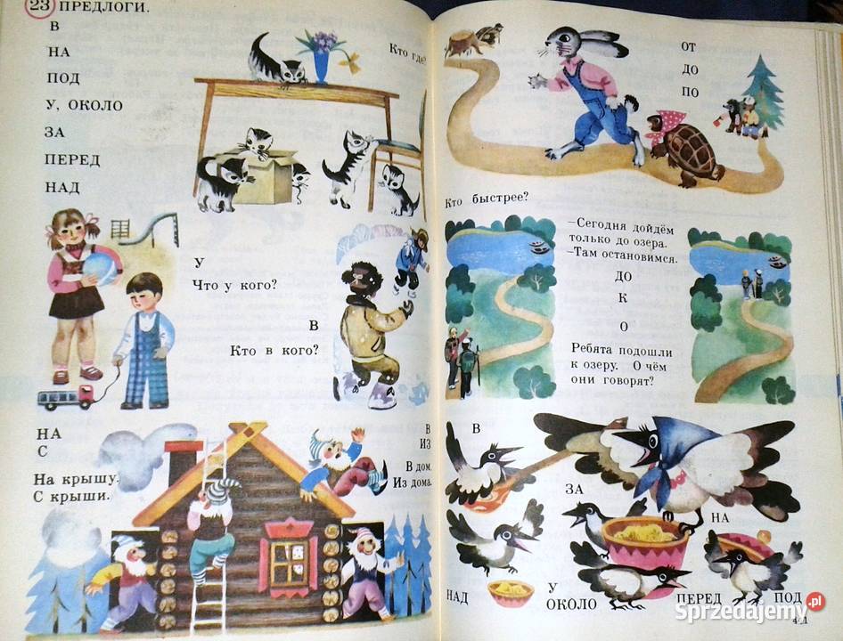 Russkij Jazyk w kartinkach Slowar Język rosyjski lubelskie sprzedam