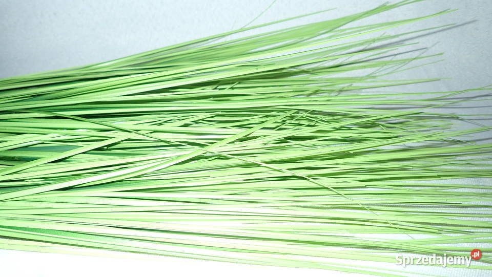 Dekoracja Trawa cieniowana gałązka 1 82 Siewierz