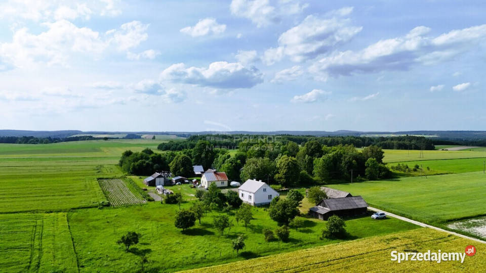Dom Łosiniec cegła