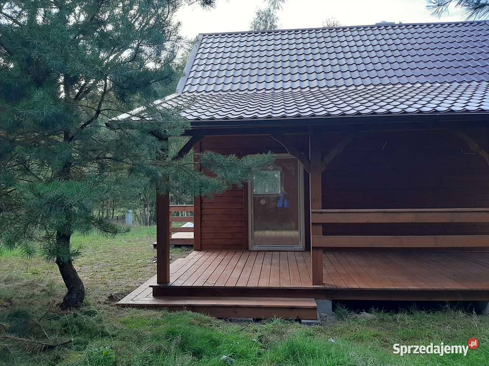 Sprzedam działkę letniskową z własnym laskiem woda Sprzedaż Nożyno