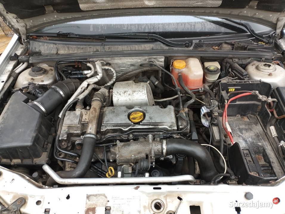 Opel Vectra c manualna Annopol