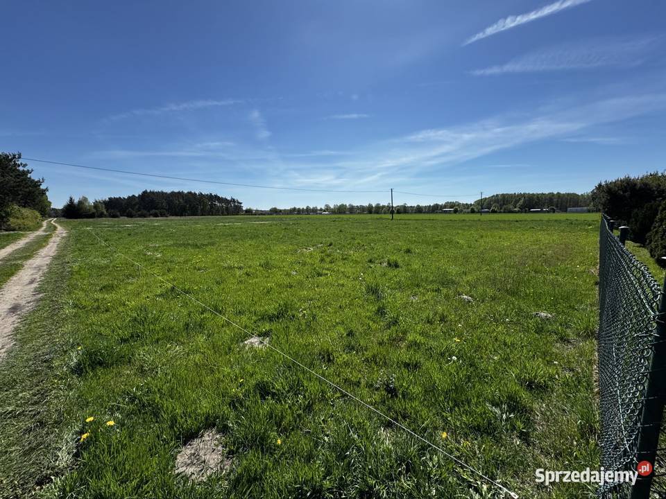 Działka budowlana 2500m Wilków Poddębicy Sprzedaż