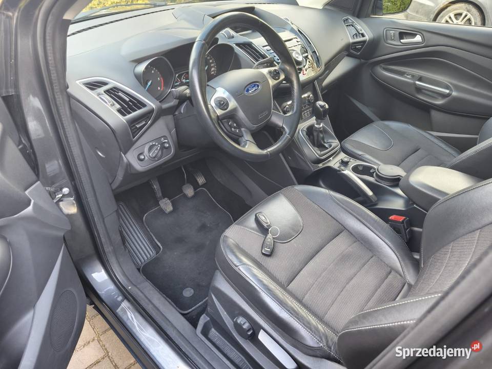 Xenon Panorama Skóra Kamera Kuga wielkopolskie Poznań