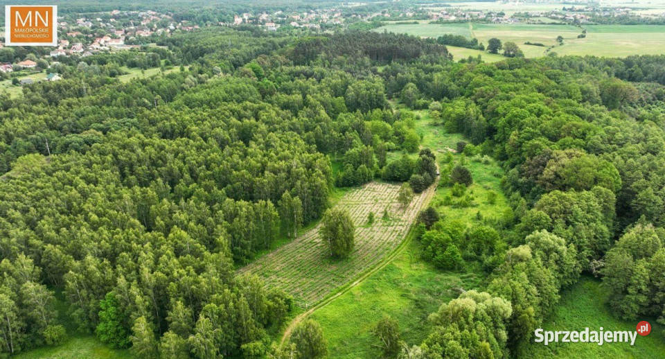Sprzedaż działki Borzęcin 28900m2 180m