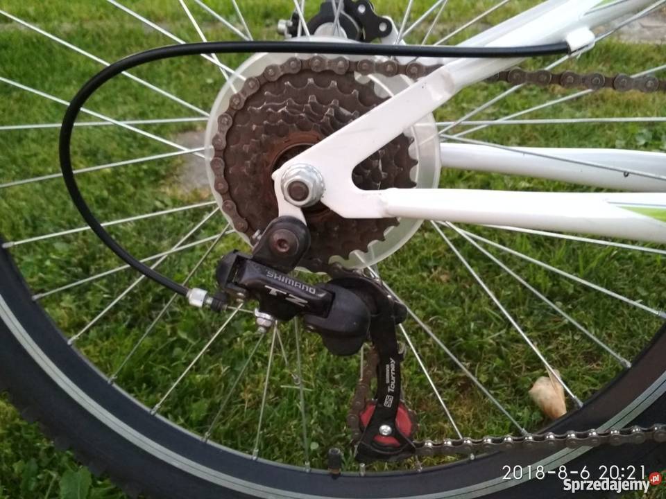 ROWER GÓRSKI 24 FORESTER RAPTOR Górki Małe