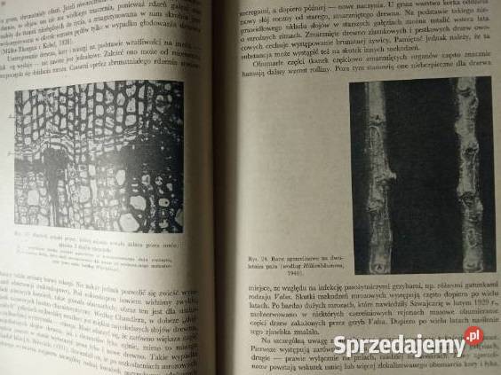 Sadownictwo i jego podstawy fizjologiczne F Łódź