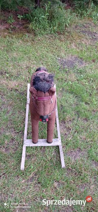 Konik na biegunach PRL świętokrzyskie Busko-Zdrój