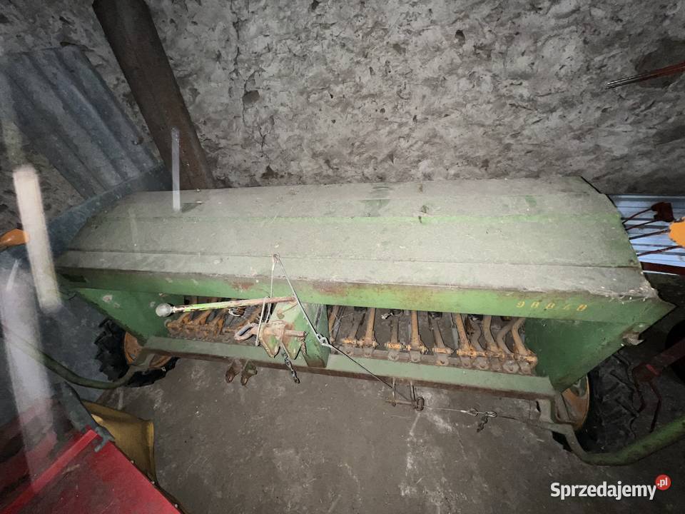 Siewnik amazone Krzecze