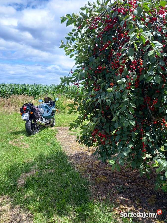 Sprzedam motocykl turystycznosportowy Suzuki Głowno
